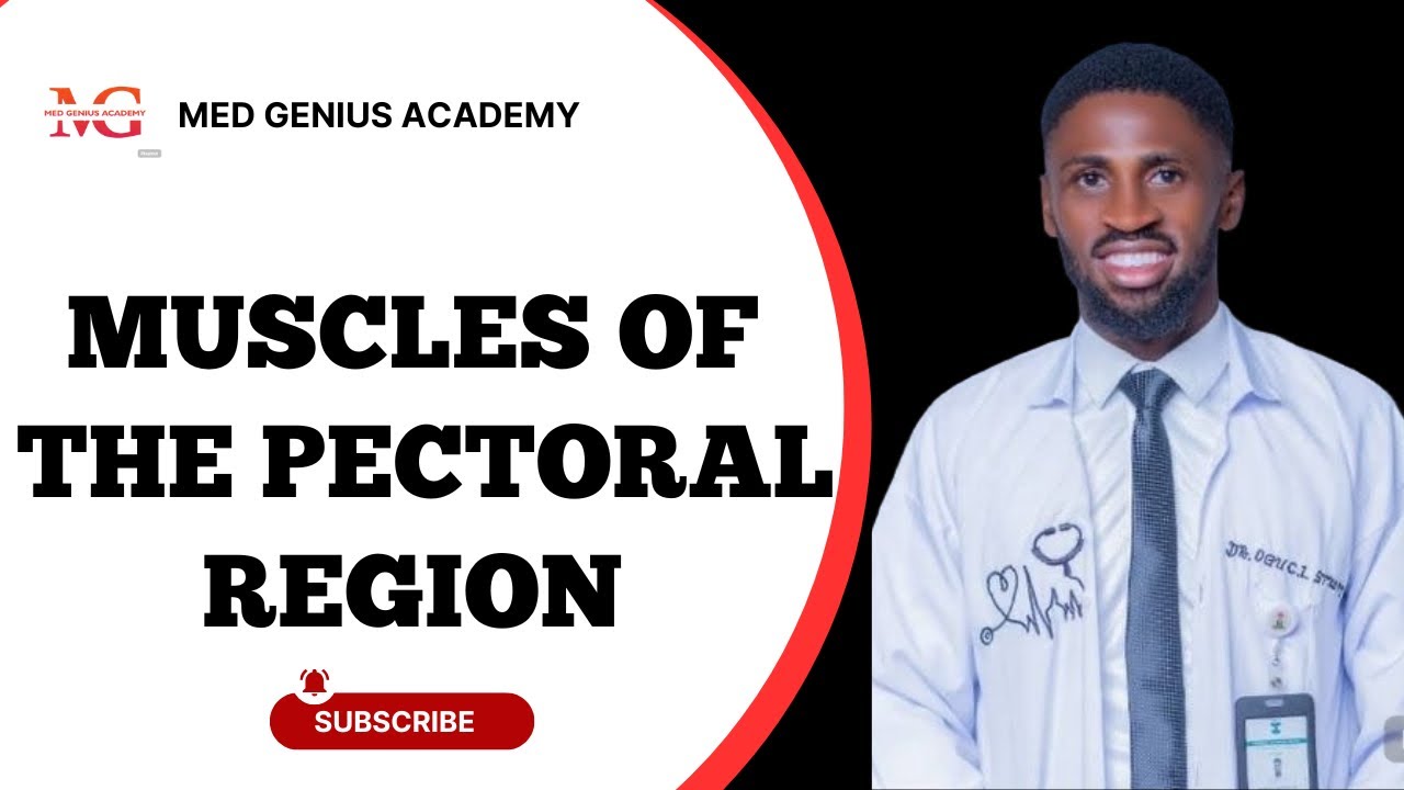 Pectoral Region Muscles Explained | Anatomy & Embryology Made Simple with Mnemonics 