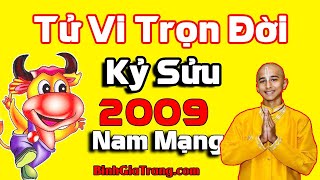 Horoscope 2009 for men: Horoscope for the year of the Ox: The first stumbles in life are very imp...