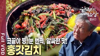 향긋한 봄채소가 맛깔 나는 김치로 변신! 나른함을 깨우는 새로운 맛~ [한국인의밥상 KBS 20120419 방송]