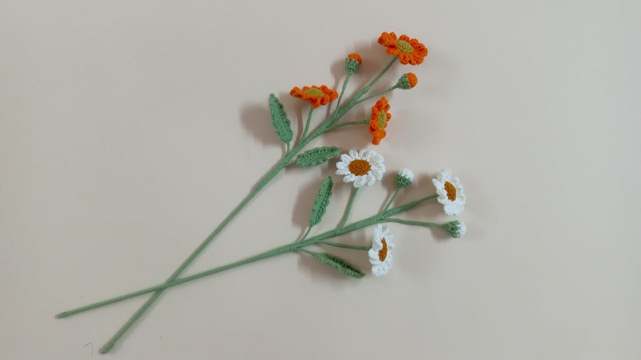Hướng dẫn móc len! Móc hoa cúc bằng len! Crochet Daisy Flower!
