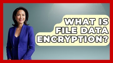 What Is File Data Encryption? - Consumer Laws For You