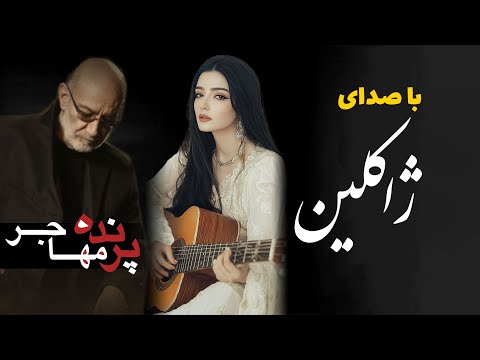 آهنگ سیاوش قمیشی با صدای ژاکلین پرنده مهاجر    