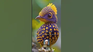 الملك القدوس السلام المؤمن المهيمن 