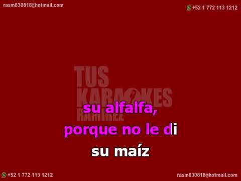 Karaoke La Burrita