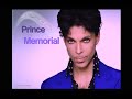 The Most Amazing Airborne Prince Memorial!  Drone Footage of his Home.  Featuring Purple Rain notes.