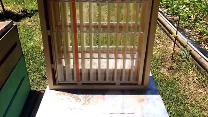 Installing Hogg Half Comb System for Comb Honey