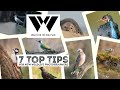 7 Top Tips For New Wildlife Photographers