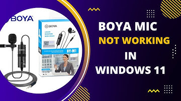 Fix Boya Mic Not Working in Windows 11 or Laptop