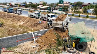 Land Size 5X25 Filling​ Full Process Using National Soils With Completion​ Project Small Dozer Truck by គ្រឿងចក្រ Power Machines 3,420 views 19 hours ago 1 hour, 40 minutes