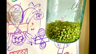 😱🔥 HOW TO: MAGIC MAGNETIC SEED EXPOSURE 🤩