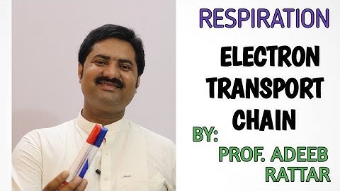 Electron Transport Chain | ETC | ETS | Respiration