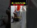 ボートからアシカを追い出した女性のサムネイル