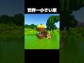 世界最小の家 #shorts #マインクラフト #マイクラ