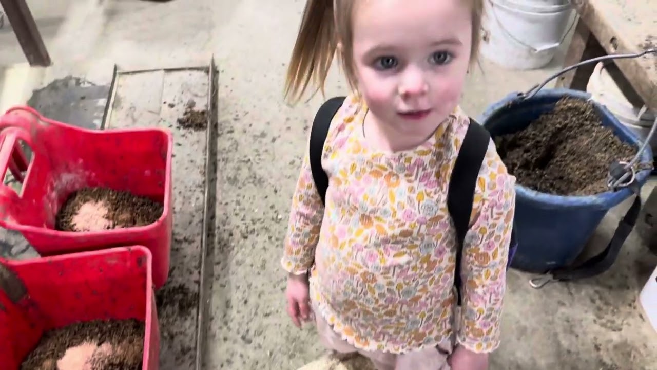 Giving Grain to her Horses