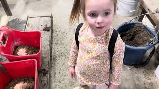 Giving Grain to her Horses