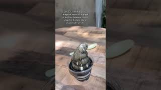 Grabbing Black Sesame Soft Serve Day 2531