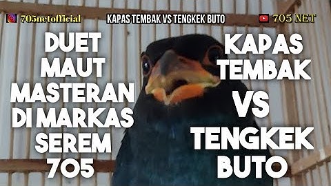 PRODUK SEREM 705 BIKIN GACORRR KAPAS TEMBAK VS TENGKEK BUTO