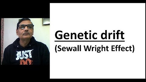 Genetic Drift (Sewall Wright Effect)
