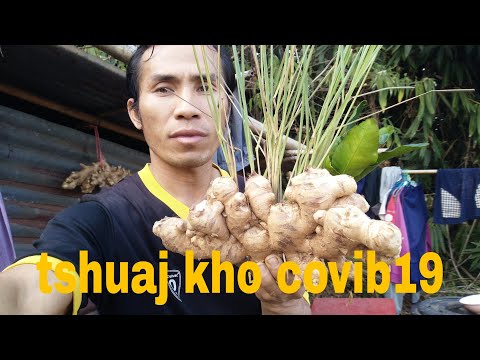 Video: Ntses Fertilizer Rau Nroj Tsuag - Thaum twg Thiab Yuav Ua Li Cas Siv Ntses Emulsion Fertilizer