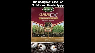 Guide to GrubEx. HOW TO APPLY & WHY! #scotts #grubex #grubs #lawncare