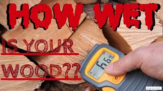 Necessary Woodworking Tools! Amazon Moisture Meter Testing