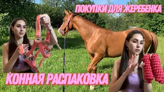 |КОННАЯ РАСПАКОВКА| |ПОКУПКИ ДЛЯ ЖЕРЕБЕНКА| подготовка к покупке лошади