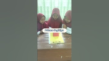 Membuat jaring-jaring bangun ruang - Kelas 5