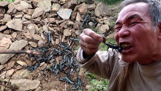 Survival - Eat charcoal-grilled scorpions and drink scorpion-soaked wine