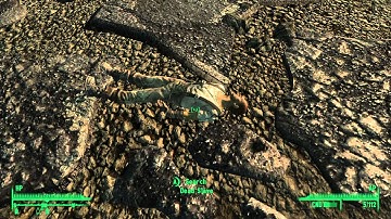 (PC) Fallout 3: Evil Run PT.3