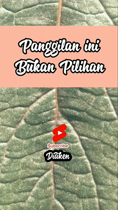 Panggilan ini bukan pilihan #belajar #ayat alkitab #renungan singkat #rohani #kristen