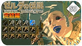 Botw バグ 武器 盾 弓 すべてのアイテムを無限に増殖できるバグがヤバすぎるｗｗｗ ゼルダの伝説 ブレスオブザワイルド Youtube