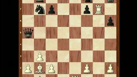 Chess 101 - the "Windmill" - by Games For Life, Inc.