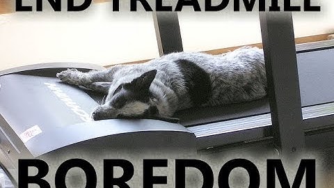 How to Avoid Treadmill Boredom While Running