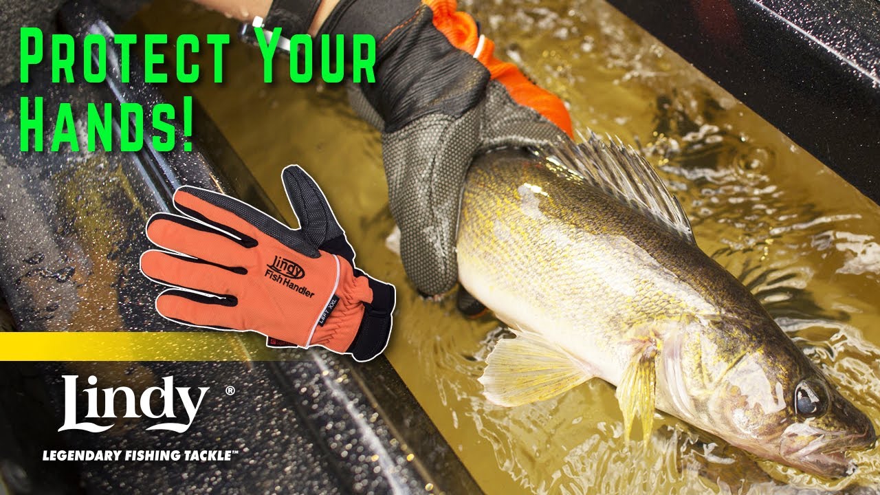 Lindy Fish Handling Glove (Small/Medium, Yellow, Left-hand) in Dubai - UAE