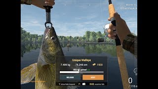 Fishing Planet – How to catch Unique Walleye at Saint-Croix Lake, Michigan.