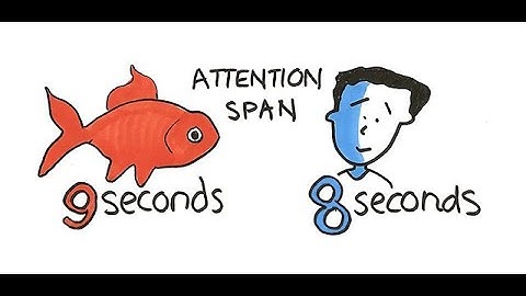 Span of Attention