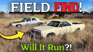 1980 El Camino. FORGOTTEN in a Field. CAN WE DRIVE IT?!? by Puddin's Fab Shop 279,260 views 3 months ago 1 hour, 36 minutes