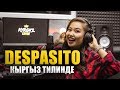 Азиза Боронбаева  - DESPASITO (кыргыз тилинде) | KRGYZ COVER