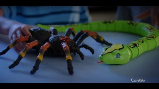Robo Alive Cobra Gigante - Candide : : Brinquedos