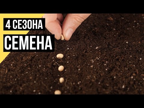 Четыре сезона. Семена