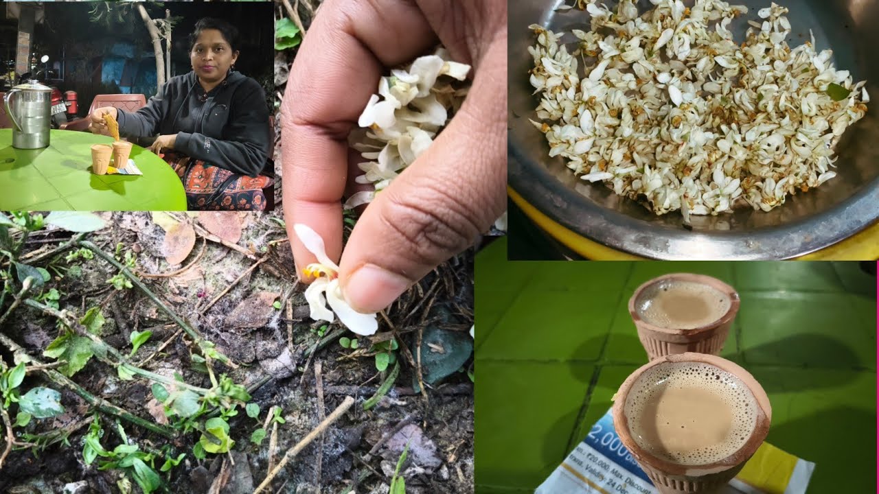 স্টেশন থেকে রুমে ফিরে এসেই সজনে ফুল কুড়াতে চললাম l