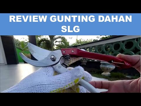 Test ketajaman gunting dahan berbagai merek. 