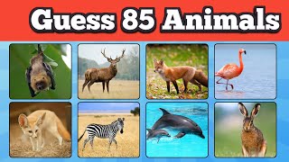 Guess 85 animals in 3 seconds | Easy Medium Hard🐔🐼🐕‍🦺