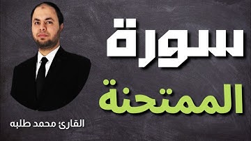 سورة الممتحنة كامله بصوت القارئ محمد طلبه