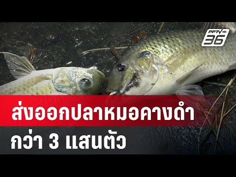 เศรษฐกิจโลก