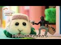 『PUI PUI モルカー』キャラクター紹介 vol.2【シロモ】