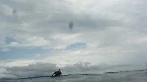 Cenizas al Mar de Stella Cardona 2 Parte