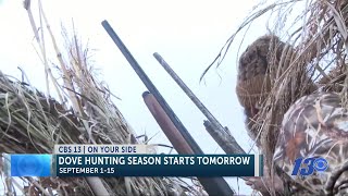Dove Hunting Season Starts