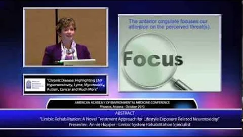 Annie Hopper - Presentation to the AAEM Conference