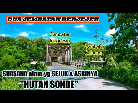 Jalannya ditengah hutan seperti kolam !! menikmati perjalanan di hutan SONDE NGAWI.